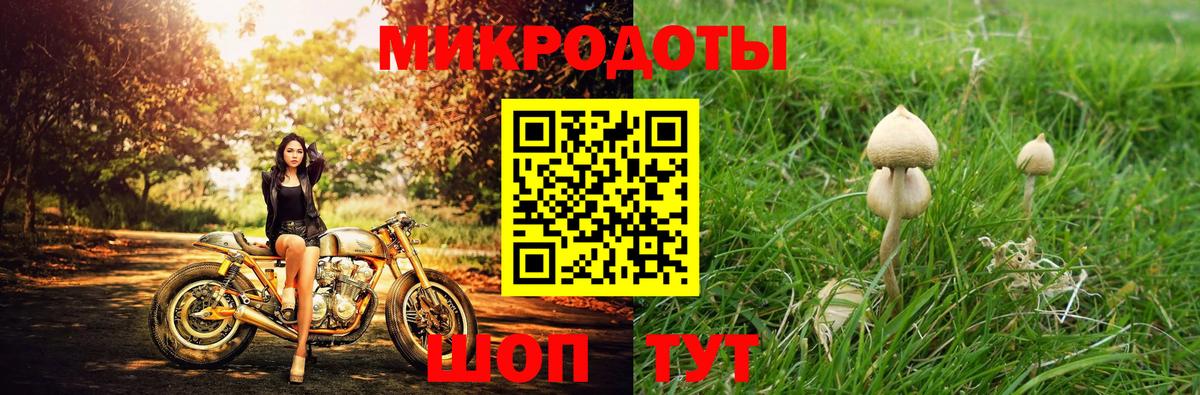Кизилюрт  Галлюциногенные грибы мицелий  Вход с VPN 